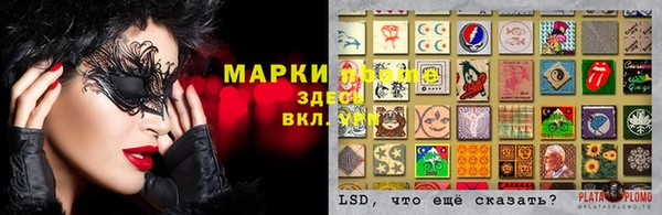 тгк Струнино