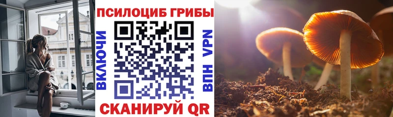 Галлюциногенные грибы MAGIC MUSHROOMS Высоцк